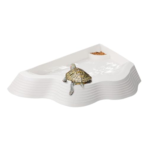 Décoration d'aquarium et piscine pour gecko et serpent - 8
