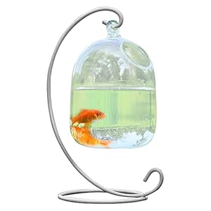 Bureau Hangende Fish Tank Bowl met Stand, Kleine Glazen Betta Viskom Mini Aquarium met Stand, Kleine Tafelglazen Visschaal voor Thuis of Kantoor Decor