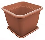 Floralo Pflanztopf “Salo”, quadratisch, Terracotta, mit Untersetzer - Quadrat Blumentopf Topf Pflanzgefäß Übertopf (Terracotta, 58 cm x 58 cm x Höhe 46 cm)