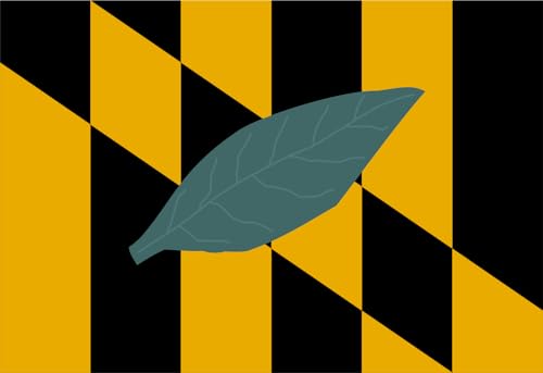 Drapeau Calvert County Maryland résistant pour pavoisement extérieur durable - 2