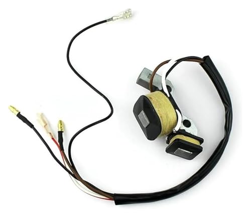 2ストロークET950 ET650 IE45 TG950、マグネトイグニッションコイルイグナイター付き。T-gerジェネレーター450W 650W 800W 950W 1000Wに対応。自動車部品(画像参照)(As Show)