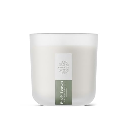 Clove & Hill Birch Leaves Candle – 14 oz Coconut Soy Wax, 45+ Hour Burn, 100% Cotton Wick – Fresh, Crisp Birch Leaf Scent, Clean-Burning Candle for Home & Gifts