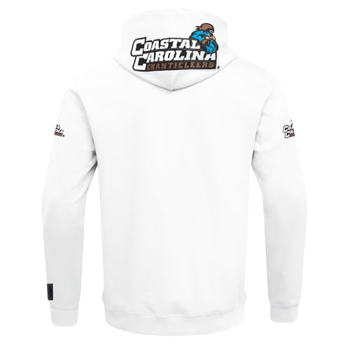 Image of Pro Standard Mens College Classic Chenille Cotton Double Knit Full Zip Hoodie
