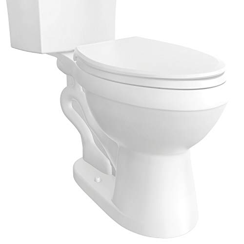 Top 10 Best Ada Toilets 2022 PONFISH
