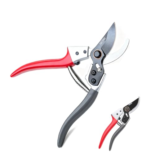 yɂ̙΂݁zyʁE₷ŉ|ƊyhCcZp×{SK-5|Ő؂ꖡ5{Eϋv6{ KтɂA~Obv ɂ݌vŒԍƂK }؂EԐ؂E~́EK[fjO MtgɂœKy2025N|܎