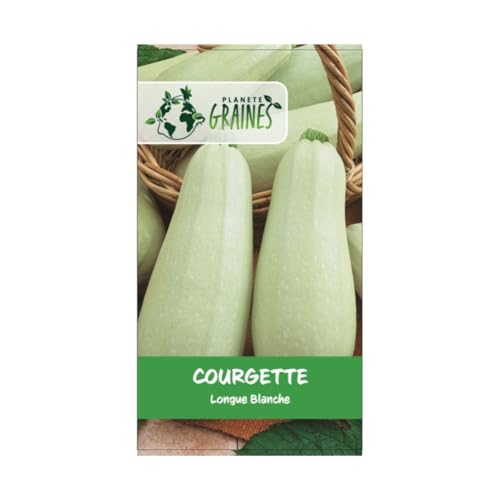 20 graines courgette BLANCHE- COURGETTE LONGUE BLANCHE LONGO BIANCO -