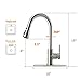 Kitchen Faucet, Kitchen Sink Faucet, Sink Faucet, Pull-Down Kitchen Faucets, Free Water Filter Included, Brushed Nickel, RULIA PB1020
