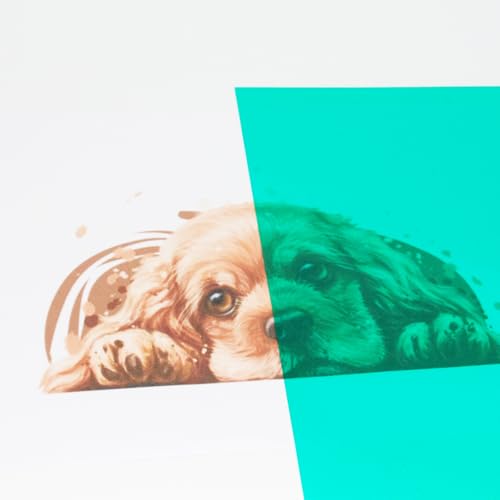 Image of A4 PVC Flexible Plastic Sheets, 10Pcs 0.3mm Thick A4 Size, Transparent DIY Crafts Film(Green)