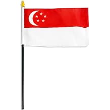 US Flag Store Singapore Flag ، 4 &times; 6 بوصة