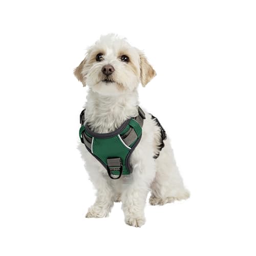 Embark Pets Adventure Dog Harness, No Pull Dog Harness with 2 Leash Clips