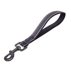 Laisse Courte pour Chien