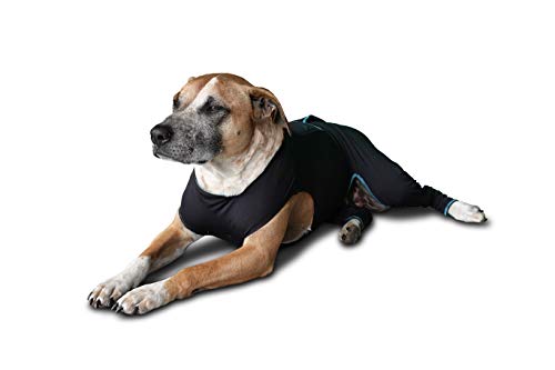 Image of BENEFAB Therapeutic Comfort Suit for Dogs - Lightweight Far-Infrared Jacket for Canines of All Ages - Relaxing FIR Compression Suit Soothes Muscles, Joints, and Pain (X-Small)