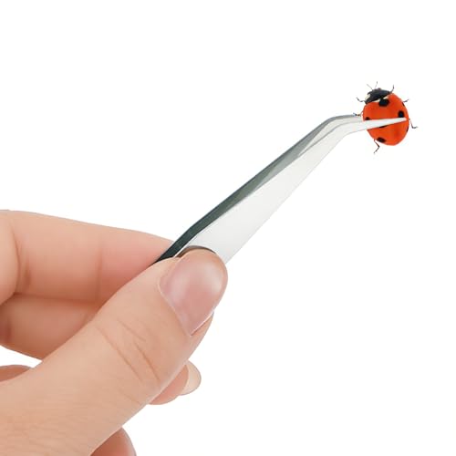 Image of ZENFUN 3 Pcs Insect Pinning Board, 11.8 inchx6.7 inchx1.2 inch Adjustable Butterfly Specimen Spreading Boards for Lab, EVA Foam Board Mounting Specimen Spreading Wings Board for Science, Education