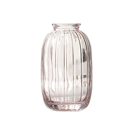 Vase for Decor Modern Glass Small Small Embossed Simple Glasfor H...