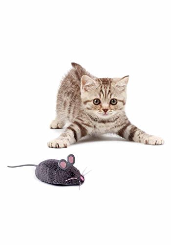 Hexbug 503502 Spielmaus für Katzen, elektronisches Spielzeug in grau