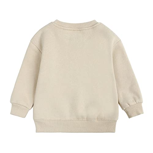 Kids Boys Girls Solid Color Sweatshirt Children Long Sleeve Crewneck Pullover Fleece Lined Tops 6M-7Y2