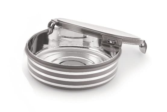 Nabhya Stainless Steel Airtight & Leak Proof S.S.Container/Lunch Box with Plastic Coating & 4 Side Locking Lid (Grey) (Big-1000 ML, 1 PC) (B0BFNV9WDR) Amazon Price History, Amazon Price Tracker
