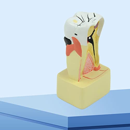 Modèle d'analyse réaliste WUURAA pour simplifier la communication médicale - 5