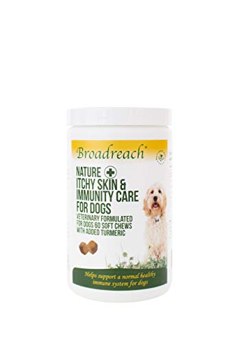 Broadreach Nature + Picazón de Piel e inmunidad masticables con cúrcuma para Perros 1x60
