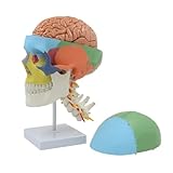 CLINGRE boutique shop uk