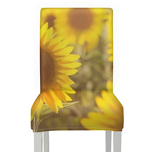 Chair Covers for Dining Roo 2pcs,Amazing Beauty Golden Sunlight On Sunflower Stretch Removable Washable Dining Chair Protector Slipcovers for Home,Kitchen,Party,Restaurant