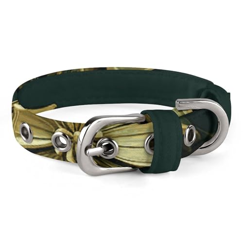 Collier chien Ramadan réglable ajustement parfait contre fuite petit chat vert
