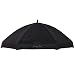 Dream On Me Onyx Canopy