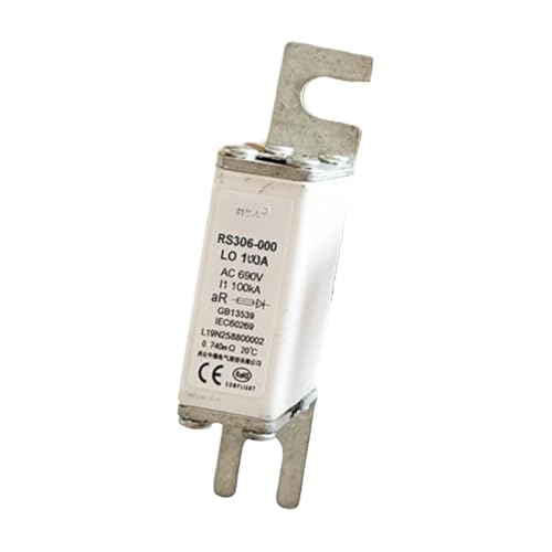 Fusible RS306-000LN 80A pour rénovation de tableau électrique de maison