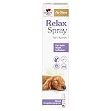 Doppelherz Relax Spray für Hunde - Umgebungsspray für mehr Wohlbefinden - geruchsneutral - 90 ml