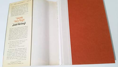 The Secrets of Harry Bright 0688059589 Book Cover