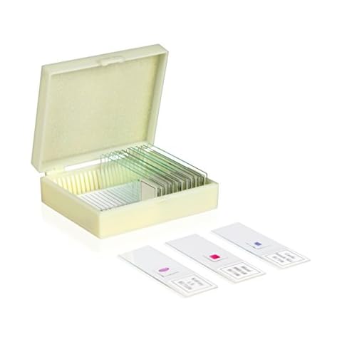 Vision Scientific VSH113 Prepared Slide Set - Apologia Biology Series (Set of 16) | Slotted Slide Case for Convenient Storage | Slides are Clearly Labelled | Specimens are Cover Slip Sealed Cover