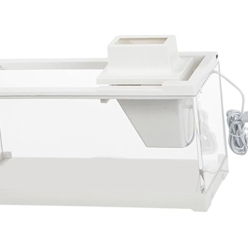 Pecera mini tanque para peces compacta que soluciona la falta de espacio en casa 3
