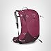 Osprey Sirrus 24L Women's Hiking Backpack, Elderberry Purple/Chiru Tan