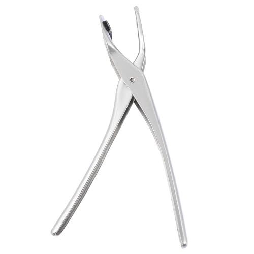 DECORNIJIA h?VR XeXMNbv ~ߐ݌v yʃRpNgHObp[ zbgv[g {Ep t^[