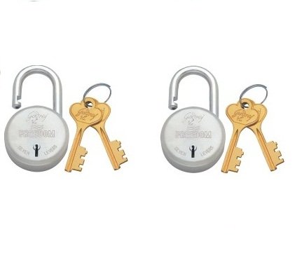 Godrej Locks I Freedom 7 levers 63mm I with 2 Keys I Padlock for Main Door I Gate Lock I Lock for Tool Box, Shutters, Shops & Offices I Corression Resistant Shackle I Silver Finish (Pack of 2)-image-42