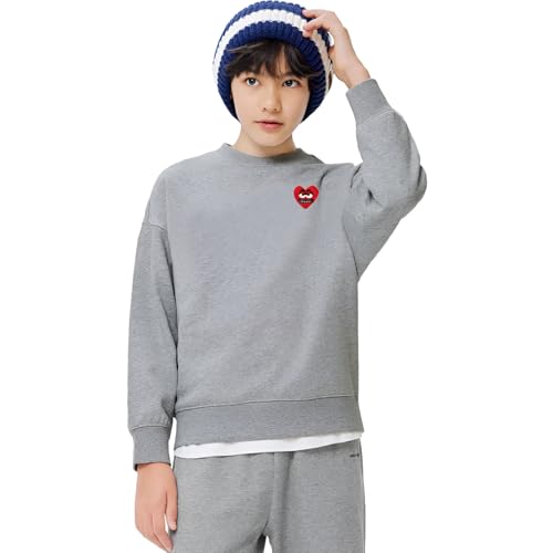 Boy Sweatshirts Cute Snag Eyes Heart Embroidery O-neck Cotton Pullover Thick Fall Loose Fashion Hoodie