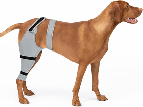 Image of Dog Rear Leg Sleeve to Stop Licking, Hind Leg Protector After TPLO Recovery, ACL Surgery, Wounds or Skin Issues, Soft Breathable Comfortable Cover for Large Medium Small Dogs, XS,Right, Black-Gray
