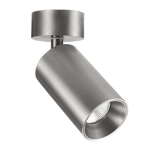 Foco de techo ajustable LED de níquel para techo, foco de iluminación para interiores, foco giratorio de 360° + 90°, lámparas de pared giratorias para sala de estar, dormitorio, pasillo (3000k 10W)