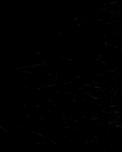 Nursing Skills Online Version 2.0 for Clinical Nursing Skills and Techniques (Access Code and Textbook Package)