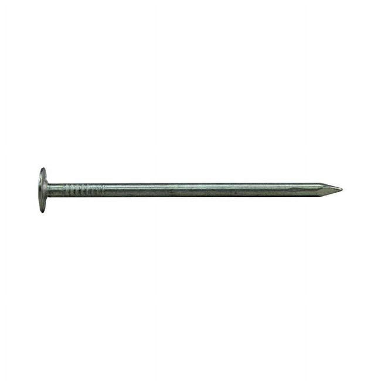 1.25 in. 1 lbs EG Roofing Nail