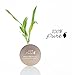 100% PURE Bamboo Blur Powder Tinted Setting Mattifying Face Makeup, Oil Absorbing Pore Minimizing Light Finish - Long Lasting, Vegan, Fruit Pigmented Tan Color (Tan Shade w/Warm Undertones) - 0.2 Oz
