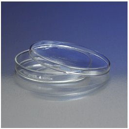 Corning - Pyrex 150x15mm Petri Dish Bot Only, CS12