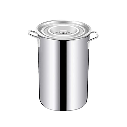 SGKOMN Ollas Grandes de Acero Inoxidable, Olla para Verduras, Olla Profesional de Acero Inoxidable Apta para inducción con Tapa, fácil de Limpiar, 10 litres