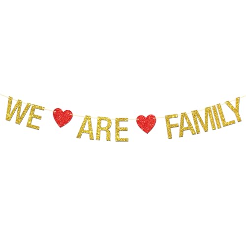 We are Family Banner, Family Reunion Member Gathering Party Photo Background Decorations Supplies Hanging Sign