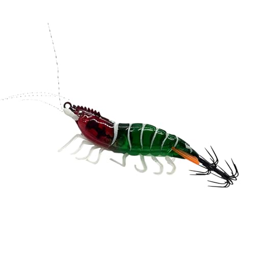 CJGM | ނ - Gr`ނWO | AEghAECEE΁Erł̋xɁEƑEEp