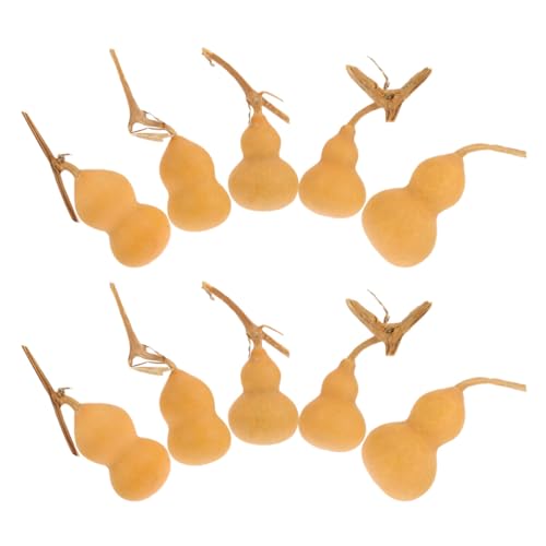 DECOMELODY 10 Pezzi Decorazioni a Forma di Zucca Mini Naturali 4-6 Cm Artigianato Zucca Ornamentale per Casa Ufficio Soggiorno Regalo Simbolico