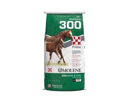 Purina ® | Omolene #300® Mare & Foal Horse Feed thumb #1