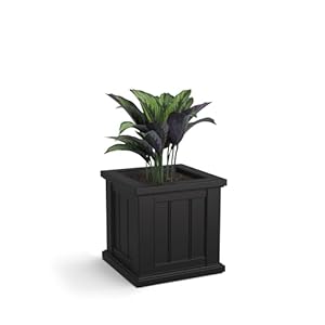 Mayne cape cod 14in square planter black 14in l x 14in w x 14in h with 31 gallon built in water reservoir 4836 b  urban country home decor