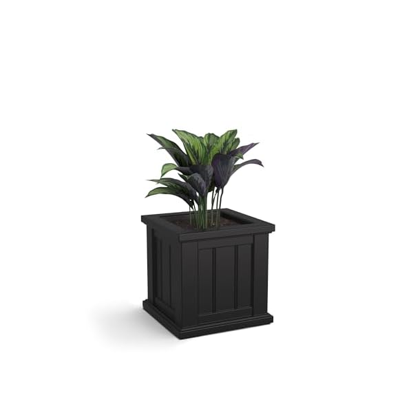 Mayne cape cod 14in square planter black 14in l x 14in w x 14in h with 31 gallon built in water reservoir 4836 b  urban country home decor