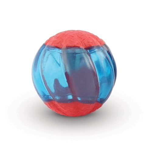 Zeus Duo-Bälle mit LED, interaktives Hundespielzeug, klein
